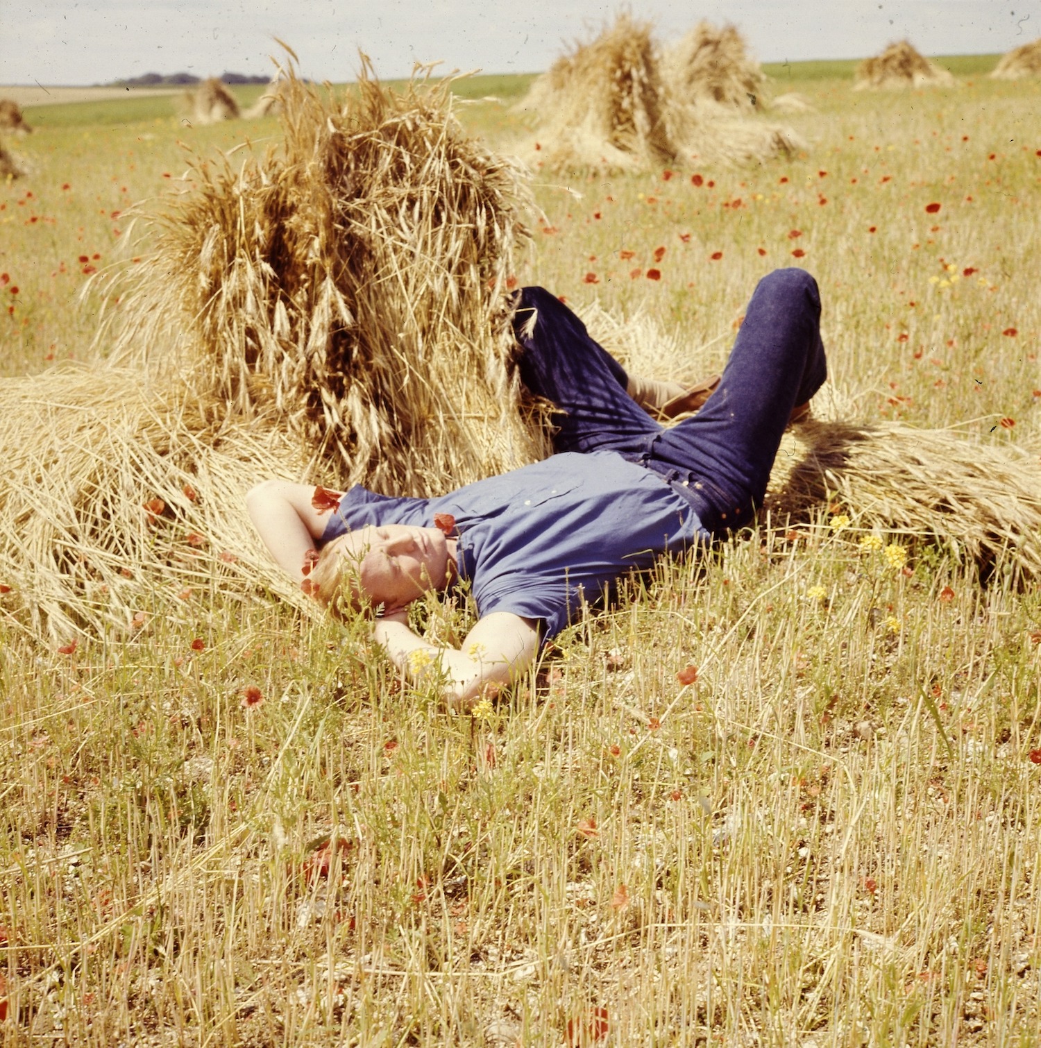 Portrait of American Olympic fencer Kin Hoitsma laying down in a field. *** Local Caption *** Kin Hoitsma;