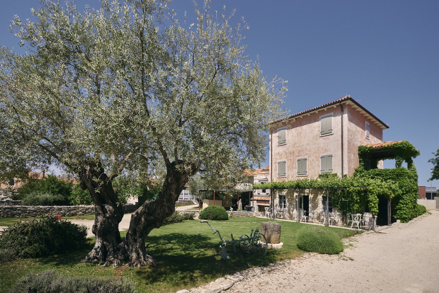 Vinarija CUJ