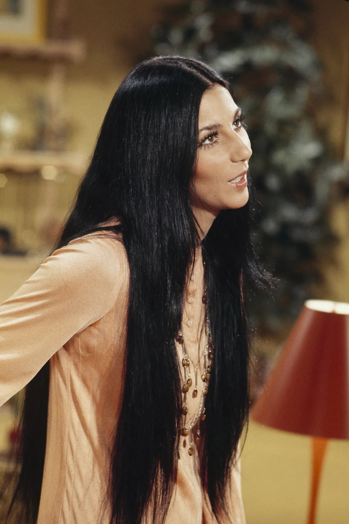 Cher 1971