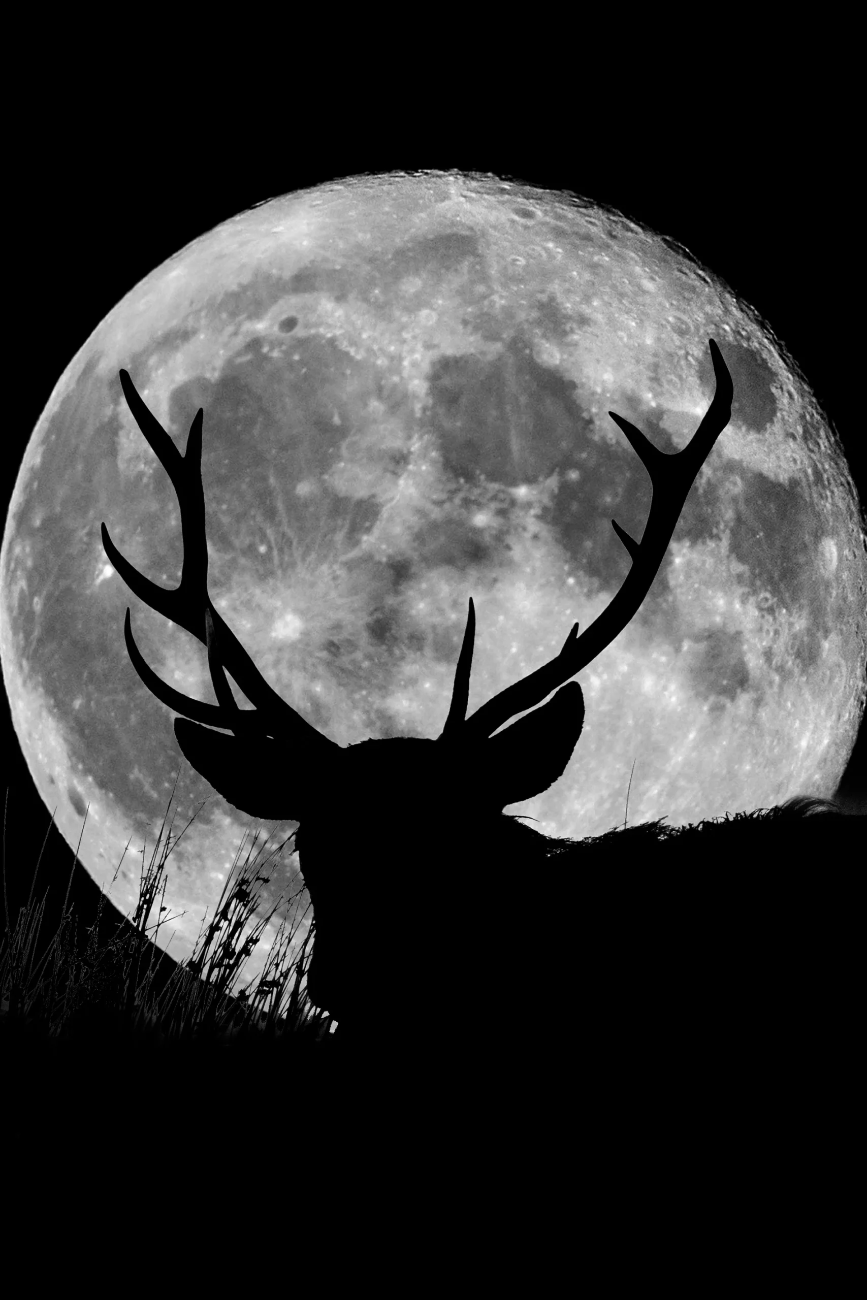 horoskop